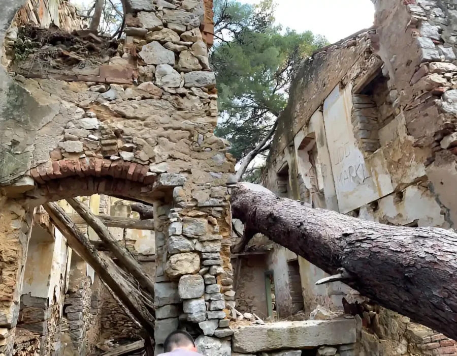 Collapsed stone building with fallen tree damage and unstable archway requiring professional demolition services