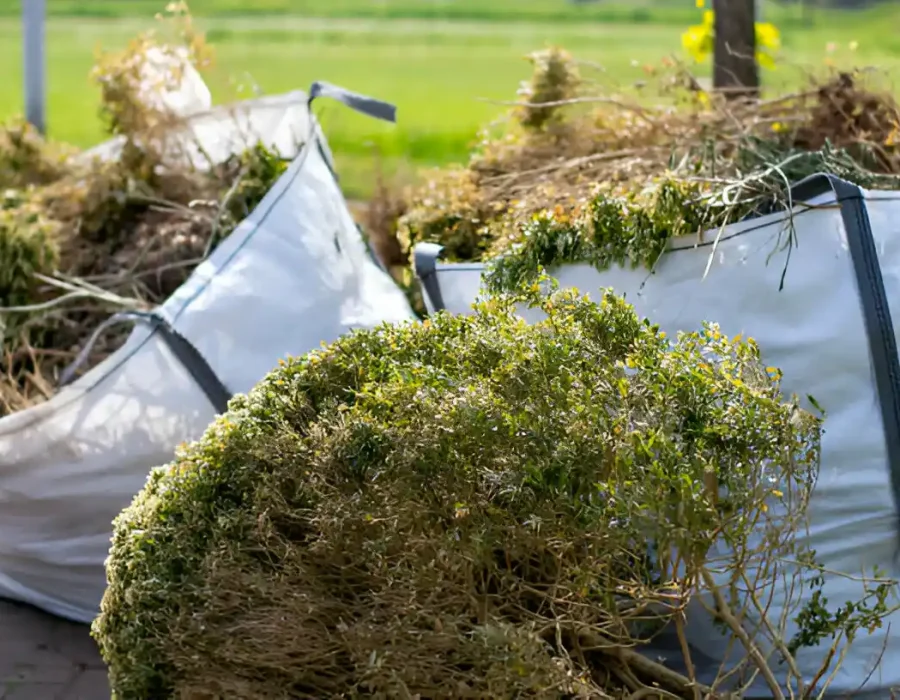 Professional Garden Waste & Brush Removal Service