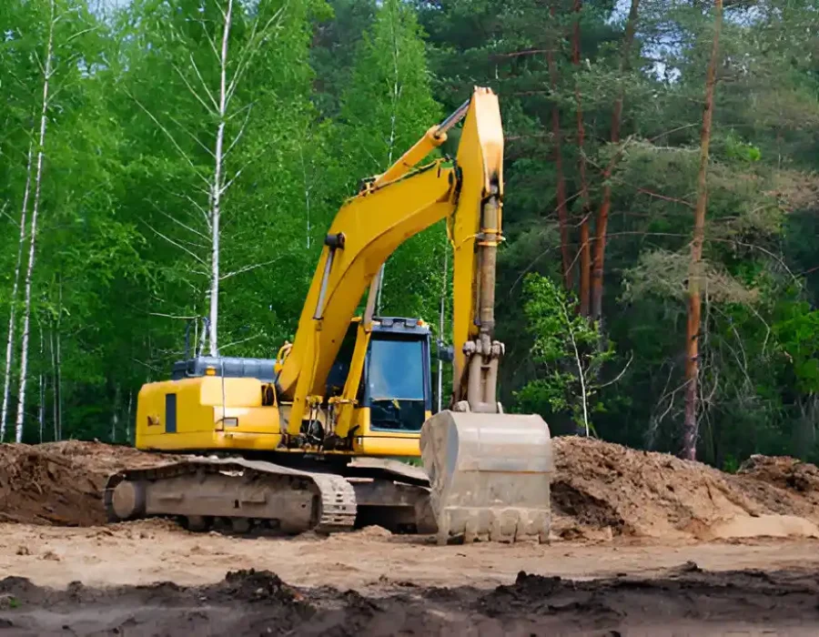 Yellow excavator working on dirt site surrounded by birch and pine trees