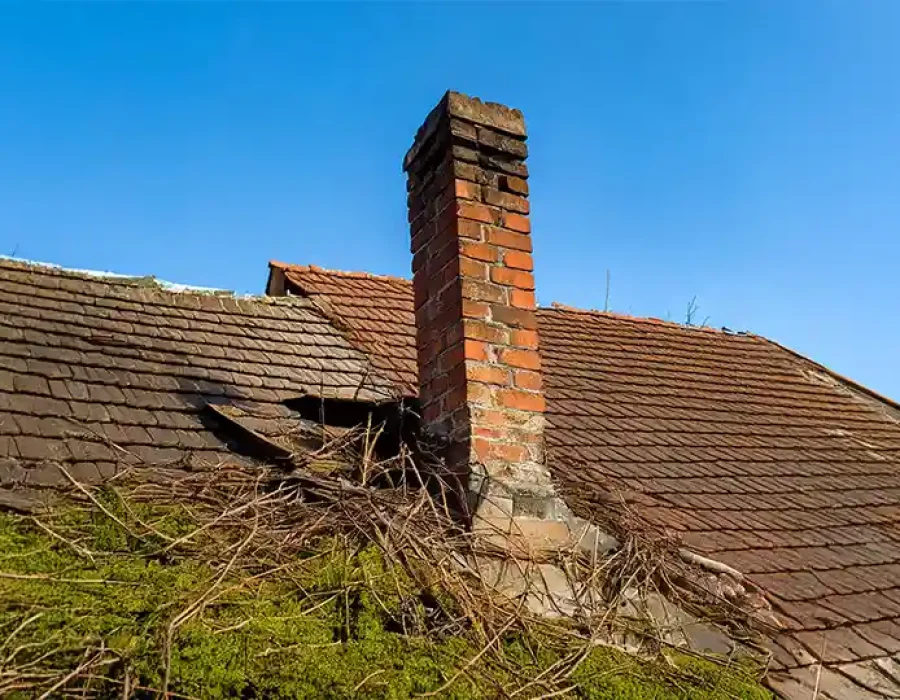 Old roof with damaged tiles and brick chimney, overgrown with vegetation, ready for demolition.