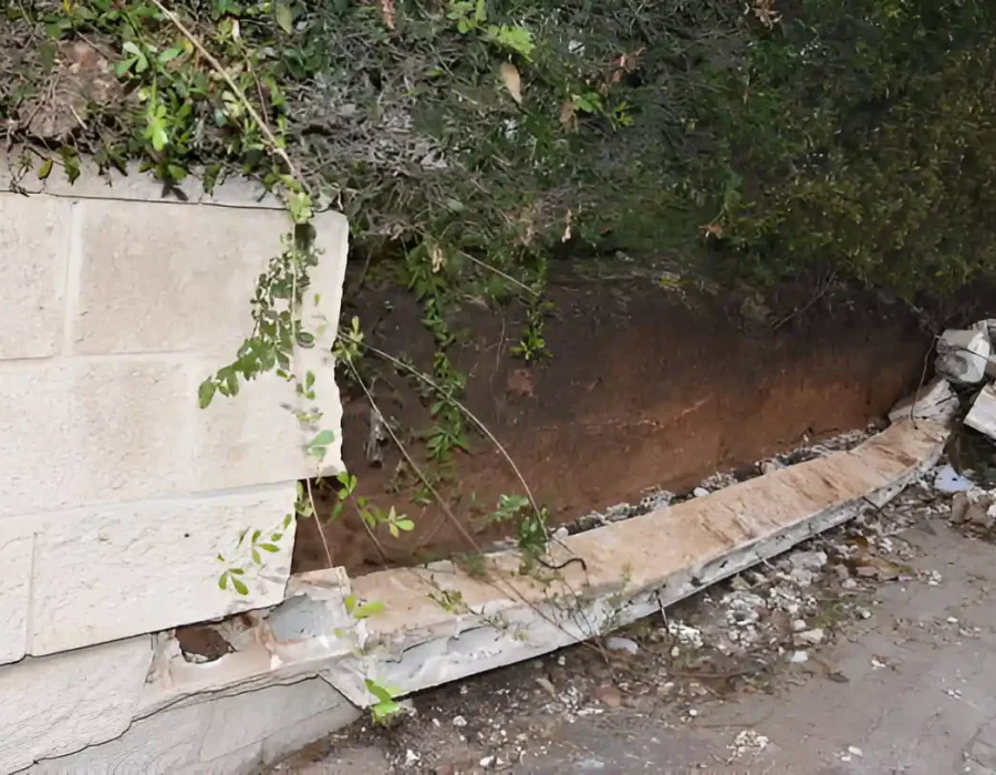 Collapsed wall with debris and vegetation, ready for removal services.