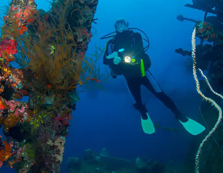 Scuba diver exploring coral-covered shipwreck, underwater inspection and survey