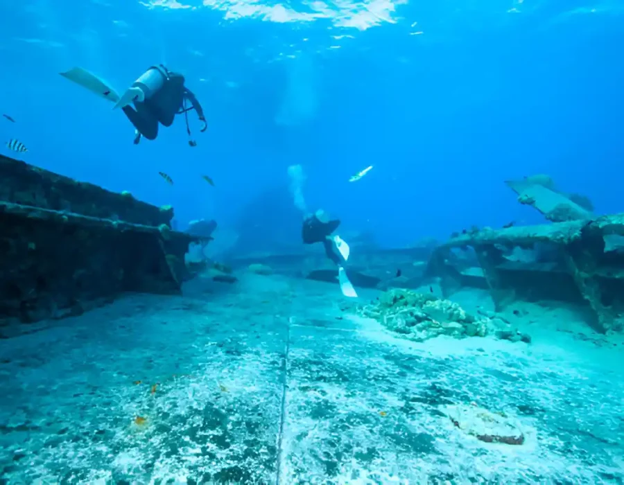 Underwater view of scuba divers exploring a shipwreck surrounded by marine life.